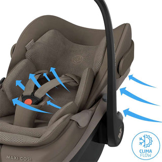 MAXI COSI FAME & PEBBLE SLIDE PRO TRAVEL SYSTEM