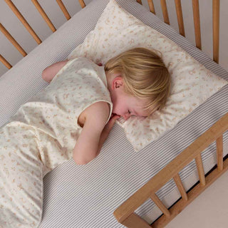 ERGOPOUCH ORGANIC TODDLER PILLOW AND CASE