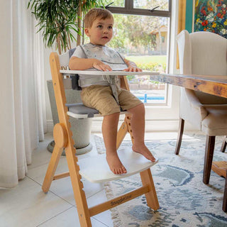 SNUGGLETIME GROW WITH ME HIGH CHAIR