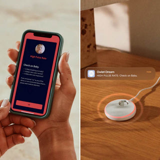 OWLET DREAM SOCK- FDA CLEARED