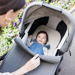 JOIE SIGNATURE RAMBLE™ XL CARRY COT