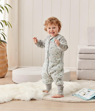 LOVE TO DREAM SLEEP SUIT 2.5 TOG