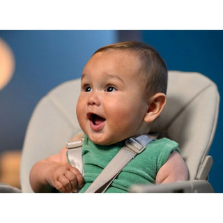 MAXI COSI MINLA PLUS HIGHCHAIR