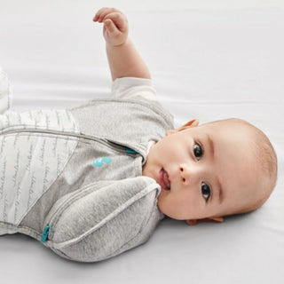 LOVE TO DREAM SWADDLE UP TRANSITION BAG WINTER WARM 2.5 TOG